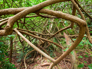 乌达瓦塔凯勒保护区