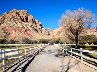 斯普林山牧场州立公园