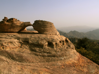 达纳自然保护区