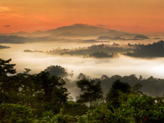 丹浓谷自然保护区