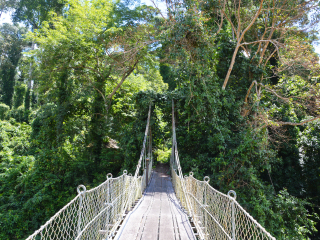 丹浓谷自然保护区