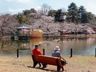 埼玉县大宫公园