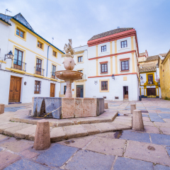 Plaza del Potro is a square in the historic center of Cordoba, Spain, and dates back to the XVI century.