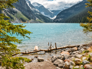 云杉林省级公园