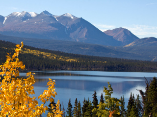 克卢恩国家公园