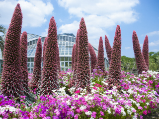 京都府立植物园