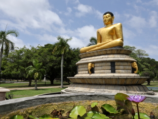 维哈马哈德维公园