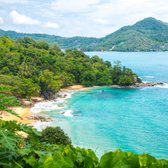 Top view of Thai beach, Phuket, Thailand. Tropical white sandy beach with turquoise clear water and palm trees. Laem Singh beach.