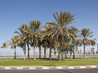 马姆萨尔海滩公园