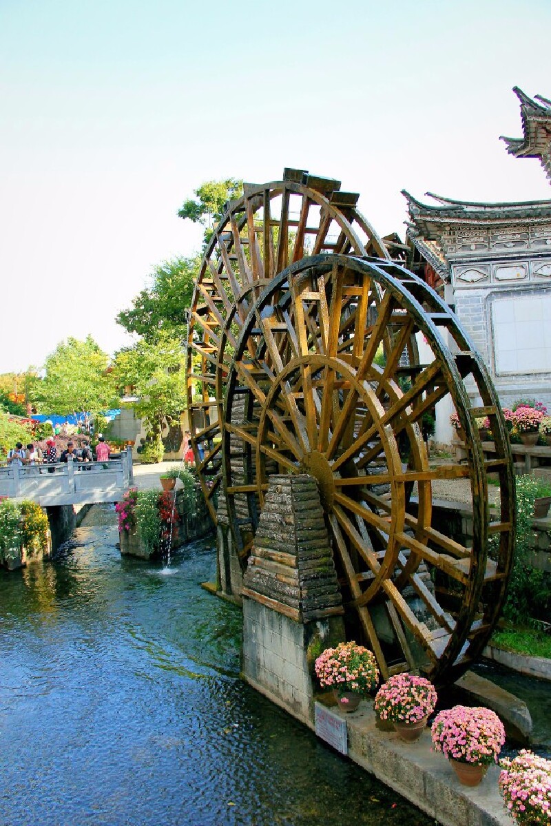 一次丽江古城拉市海的美照邂逅内含大量美照