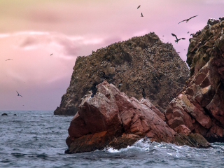帕拉卡斯自然保护区
