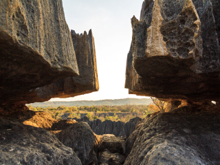 贝马拉哈国家公园