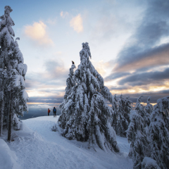 Sunset at Mount Seymour Provincial Park, North Vancouver, British Columbia, Canada