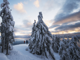 西摩山省级公园
