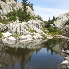Small pool or tarn in Mount Seymour Provincial Park, North Vancouver, British Columbia, Canada