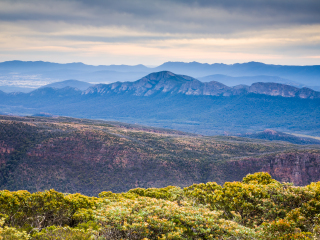 威廉山国家公园