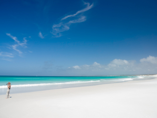 威廉山国家公园