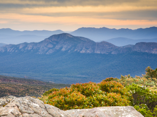 威廉山国家公园