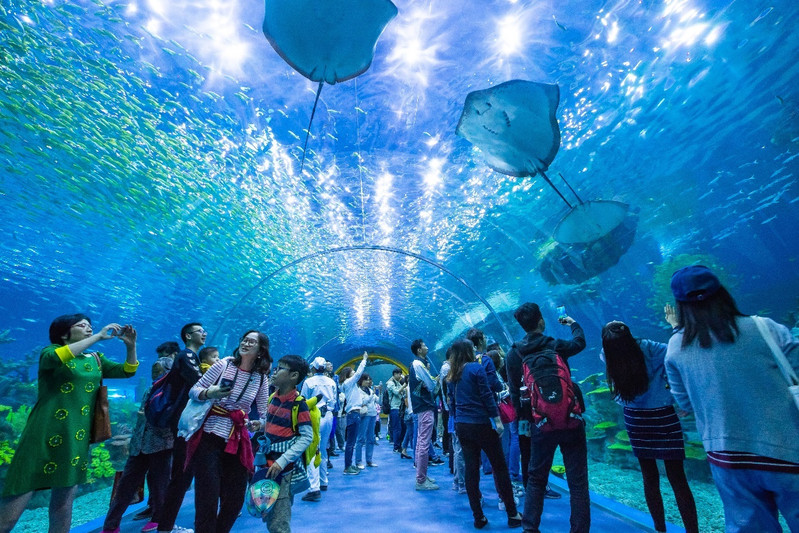 圖/上海海昌海洋公園海底世界館是一個充滿童趣和夢幻色彩的未來世界.