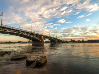 莱茵河（法兰克福段）