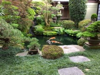 日本庭园