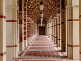 莱斯大学