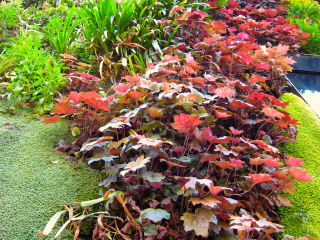 盖布朗利博物馆