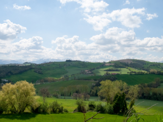 翁布里亚和马尔凯