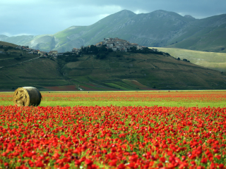 翁布里亚和马尔凯