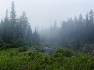 白贝壳省级公园