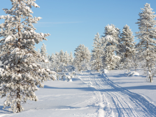 乌尔霍凯科宁国家公园