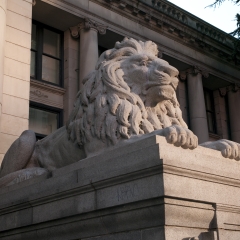 Lion sculpture at the Vancouver Art Gallery in  Vancouver, British Columbia, Canada