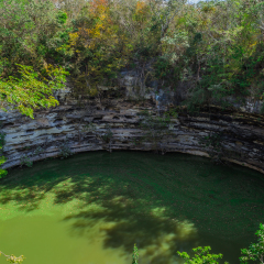 Cenote Sagrado de Chichen Itza. Vulture, bird. Sacred cenote at Chichen Itza used for making sacrifices to rain god Chaac