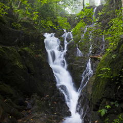 Ton Sai Waterfall,Ban Khao Phra Thaeo Wildlife,Phuket Thailand.