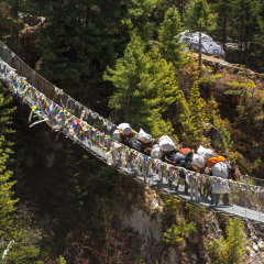 Mules with heavy baggage crossing the suspention bridge on the Everest Base Camp Trek, Himalaya mountains, Sagarmatha National Park, Nepal.