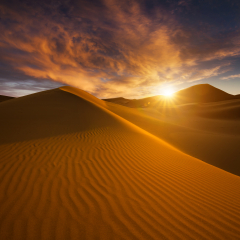 Beautiful sand dunes in the Sahara desert.