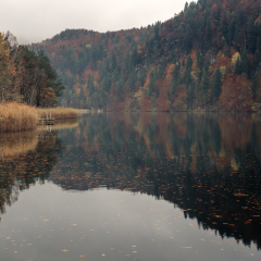 Fussen, Bavaria, Germany. Lake Schwansee surrounded by autumn forest