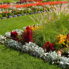 Various Plants and Flowers at Experimental Farm in Ottawa Canada