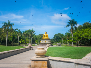 维哈马哈德维公园