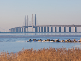 马尔默厄勒海峡大桥