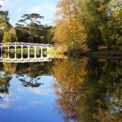 White Bridge at Painshill Park