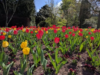 法兰克福棕榈树公园