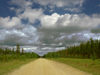 伍德布法罗国家公园