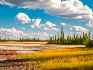 伍德布法罗国家公园