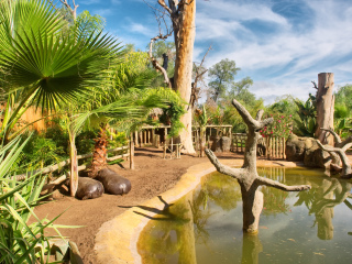 甘果野生动物牧场