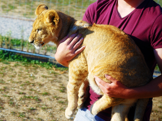 甘果野生动物牧场