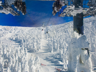 藏王温泉滑雪场