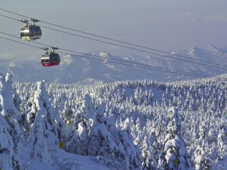 藏王温泉滑雪场