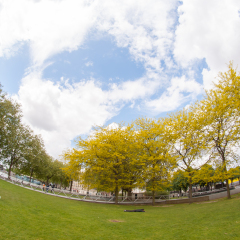 People Hanging At Parc de la Villette Taken Using Fisheye Lens. The Park Is The 3rd Largest Park In Paris Located In The 19th Arrondissement