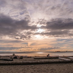 Wooden logs at the beach